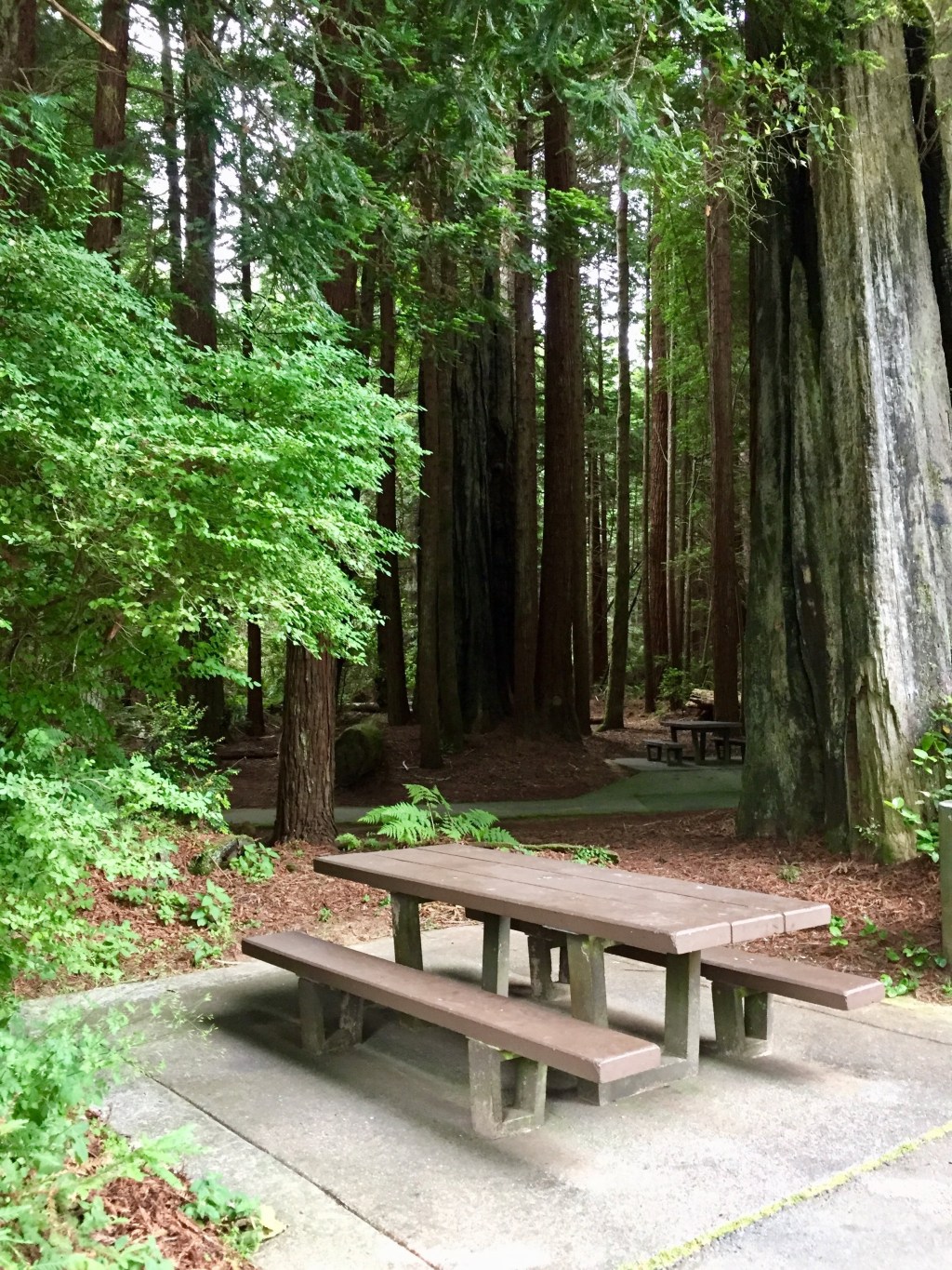 Sleeping at a Highway Rest Stop,&nbsp;Really?